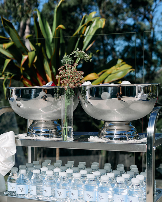 Silver Ice Buckets
